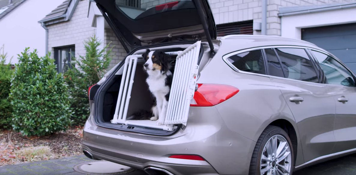 Ford  Focus, bagagliaio