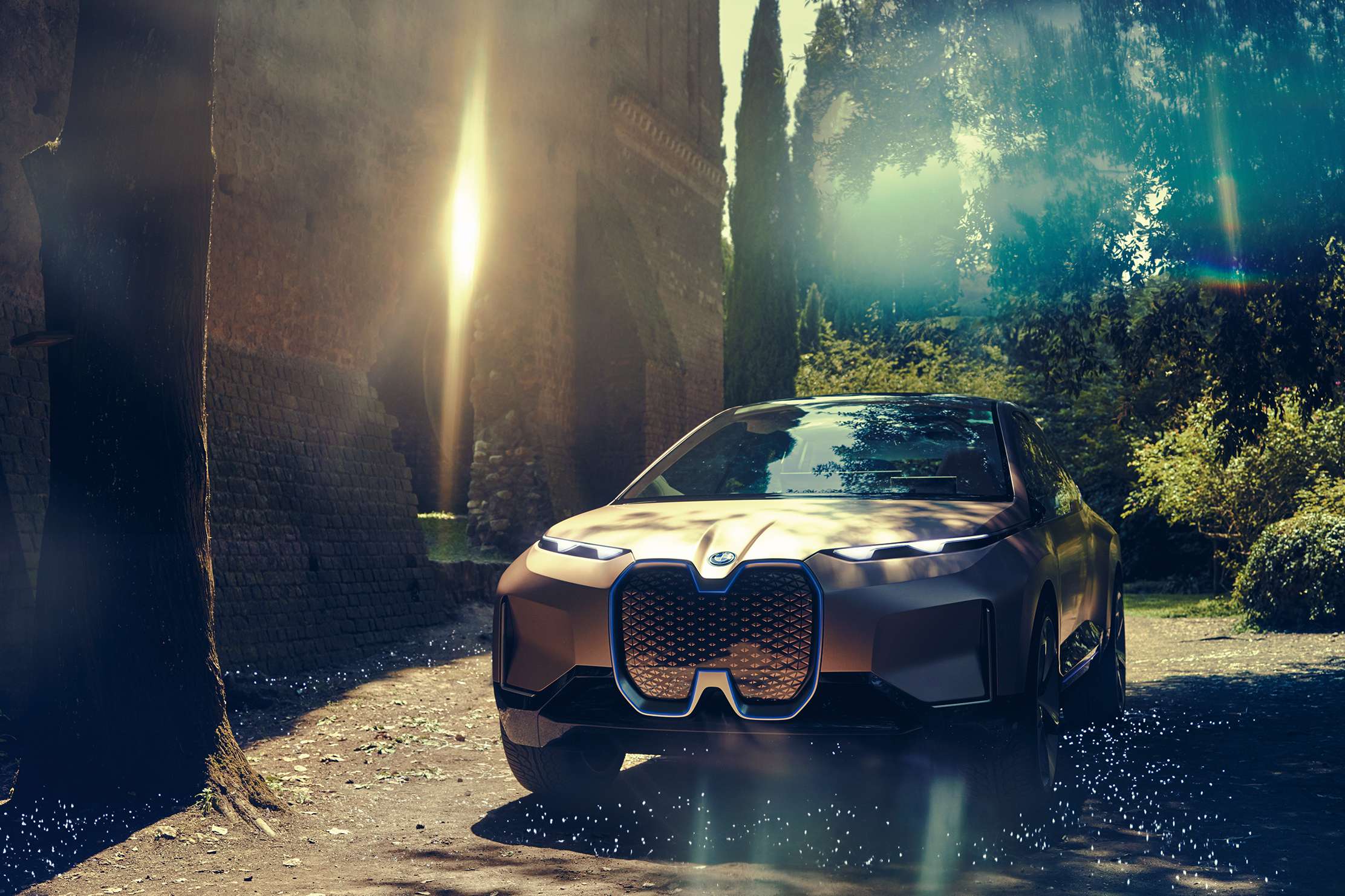 BMW iNEXT, dettagli della parte frontale