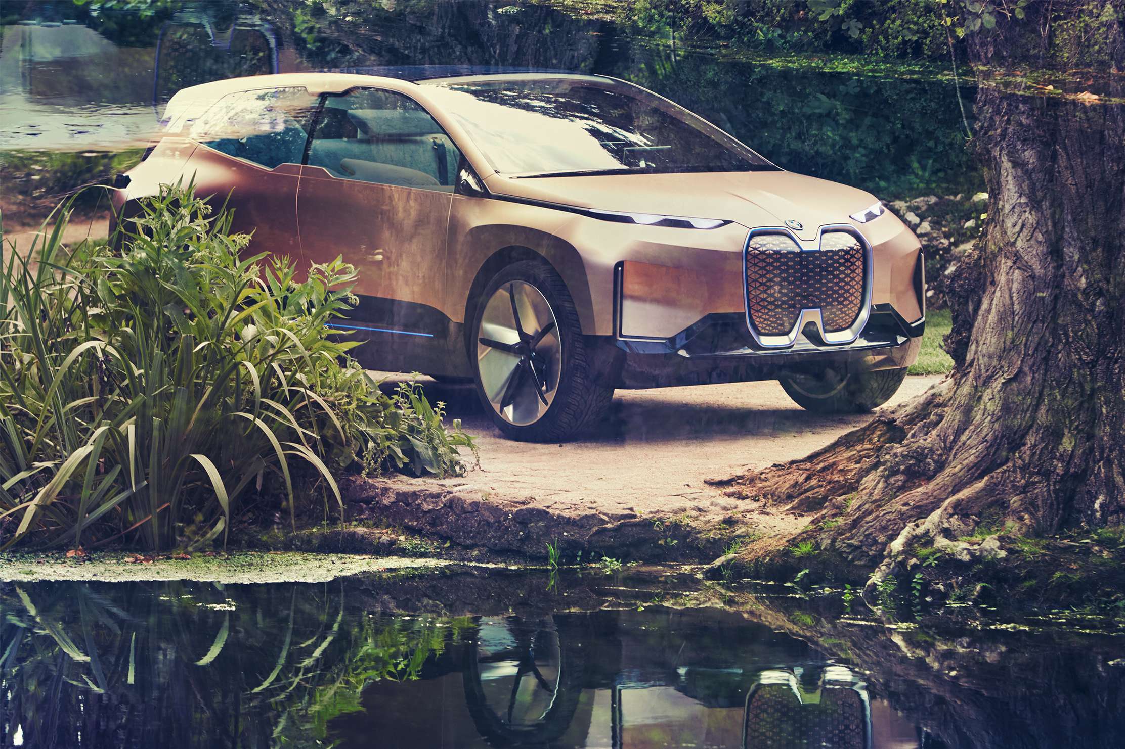 BMW iNEXT, design iconico