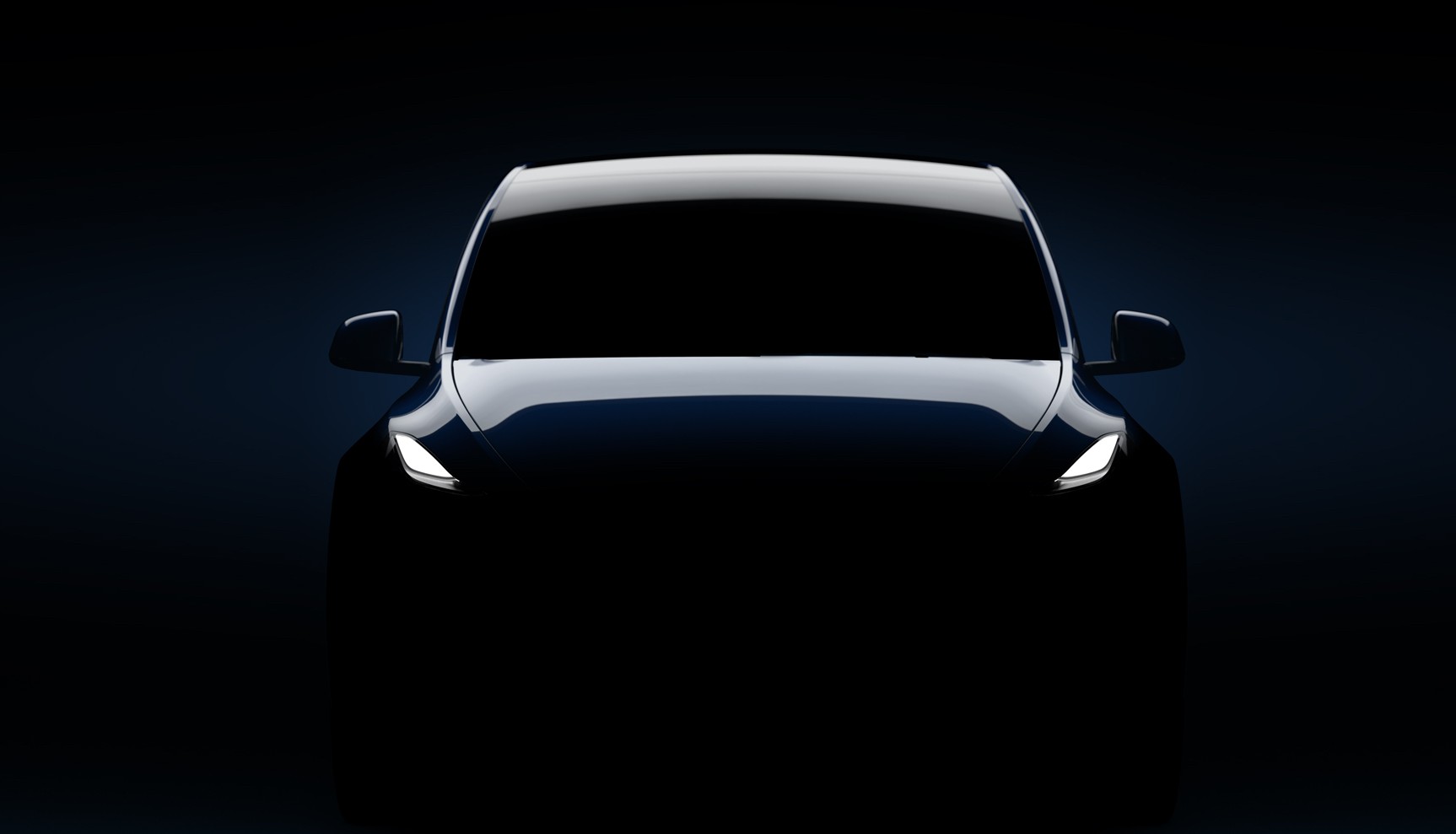 Profilo Tesla Model Y