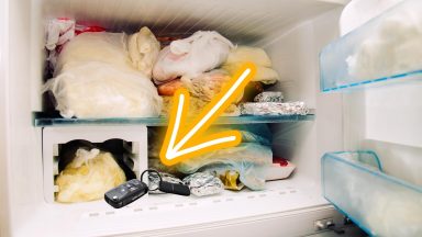 Chiavi dell'auto nel freezer: perché molti lo fanno?